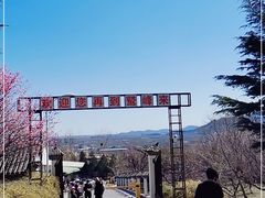 -北京鹫峰国家森林公园