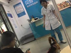 -贝利宠物医院·骨科·眼科·肿瘤转诊中心(南坪诊疗中心)