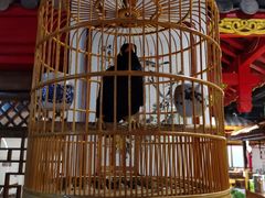 -清真·京华源铜锅涮肉(丰庆店)