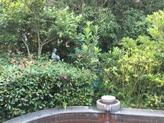 -黄山温泉国际旅游度假区