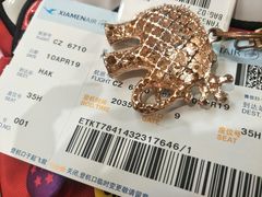 -厦门高崎国际机场-T3航站楼