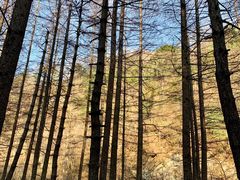 -秦岭风景区