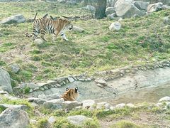 -西安秦岭野生动物园