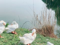 -良渚古城遗址公园