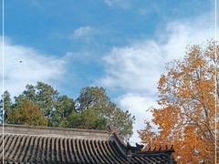 -香山公园