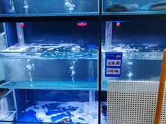 -御龙海鲜火锅(十六浦店)