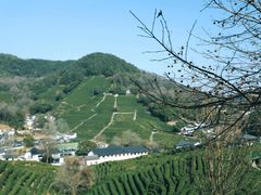 -西湖风景区十里琅珰-五云山