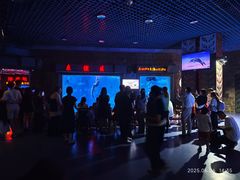 -太平洋海底世界