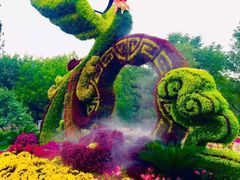 -北京植物园南门售票处