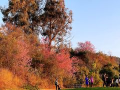 -昆明春城湖畔度假村