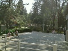 -双榆树公园
