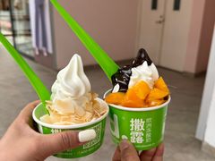 -Salud撒露欧洲冻酸奶(蓝色港湾店)