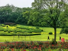-宜兴龙背山森林公园