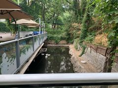 -丽泽山庄·生态怀柔菜·虹鳟鱼(红螺寺店)
