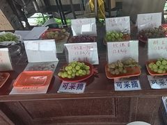 -马陆小张葡萄园农家乐