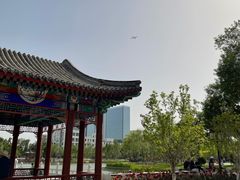 -西海子公园