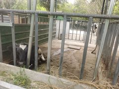 -洪湖家庭农场·团建·露营·会议