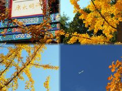 -迎泽公园