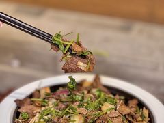 -真地道京味府·鲜橙烤鸭·北京菜(朝外大街东大桥店)