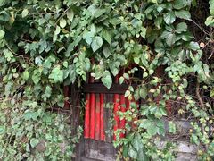 -斯多格书乡(北京大学畅春园店)