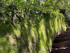 -碧峰峡风景区