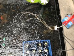 -燕喜堂·中华老字号(大明湖店)