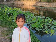 -嘉北郊野公园