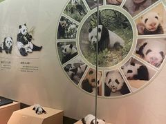 -深圳博物馆历史民俗馆