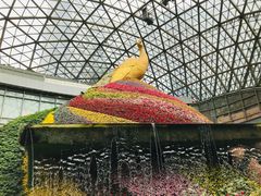 -花之城