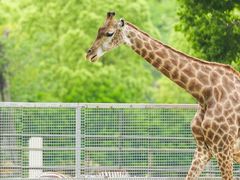 -常州淹城野生动物世界