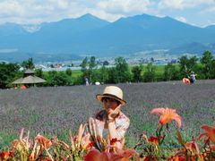 -富田农场