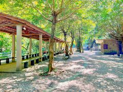 -四会奇石河风景区