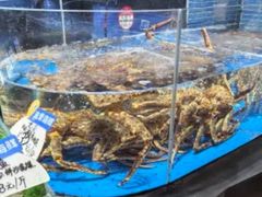 -徐记海鲜·宴会(大唐西市|丰庆店)