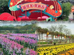 -盈香心动乐园
