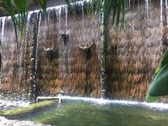 -北京呀路古热带植物园