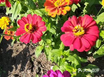 花都湿地公园都系一个晒字讲晒