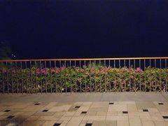 -日落吧·海景咖啡厅·餐酒吧·鸡尾酒·下午茶·乐队表演·浪漫夕阳·三亚文华东方酒店