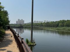 -前关湿地公园
