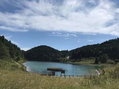 -武陵山森林公园