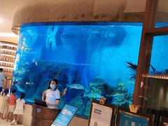 -艺厨风尚餐厅 · 桔钓沙莱华度假酒店