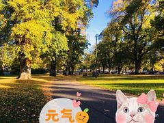 -墨尔本皇家植物园