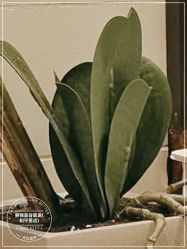 -LJOY丽锦造型·烫发染发