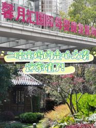-馨月汇·一悦馨香月子中心(前滩店)