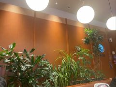 -奈雪的茶(印象城店)