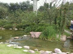-秀丽东方