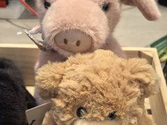 -the balancing(东方店)