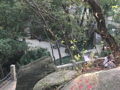 -乌山风景区