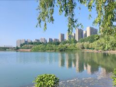 -丁香湖公园