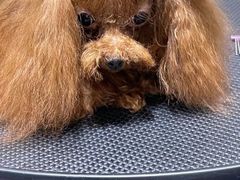 -宠颐生动物医院·小陆分院