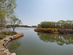 -大兴滨河森林公园